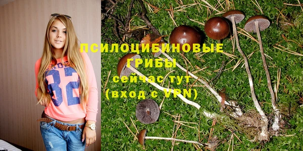 молекула духа Балахна