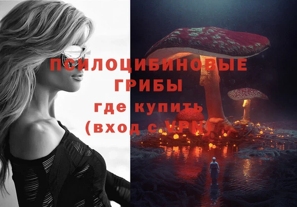 ПСИЛОЦИБИНОВЫЕ ГРИБЫ Балабаново