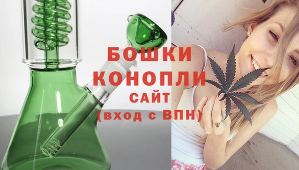 молекула духа Балахна