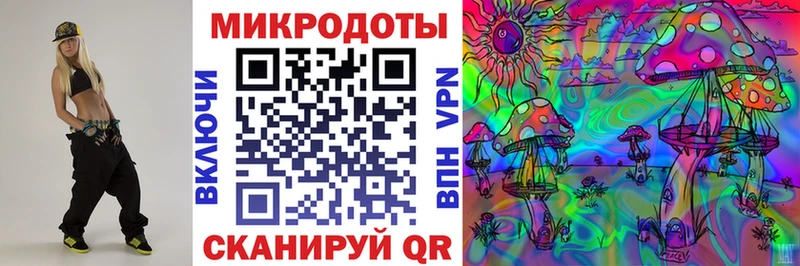 Галлюциногенные грибы Psilocybe Новая Ладога